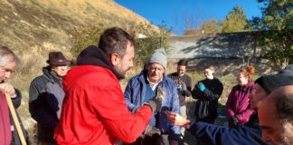 Hasta 200 árboles han sido plantados por voluntarios en Segovia Plantación de árboles en Segovia