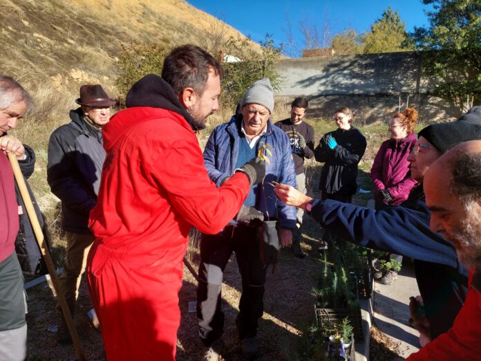 Plantación de árboles en Segovia