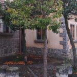 Una inversión de 93000 euros para la sustitución de árboles y adecuación de zonas verdes en La Albuera