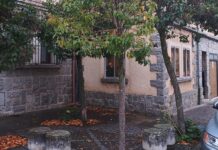 Una inversión de 93000 euros para la sustitución de árboles y adecuación de zonas verdes en La Albuera