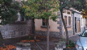 Una inversión de 93000 euros para la sustitución de árboles y adecuación de zonas verdes en La Albuera