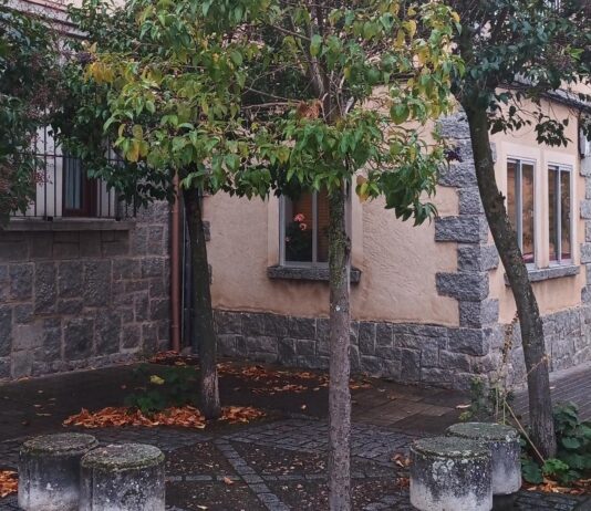 Una inversión de 93000 euros para la sustitución de árboles y adecuación de zonas verdes en La Albuera