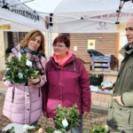 El puente de diciembre se queda corto en la provincia de Segovia Feria Acebo Prádena Puente de diciembre