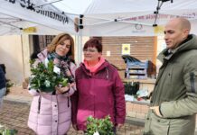 Feria Acebo Prádena Puente de diciembre