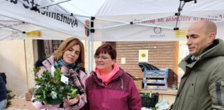 El puente de diciembre se queda corto en la provincia de Segovia Feria Acebo Prádena Puente de diciembre
