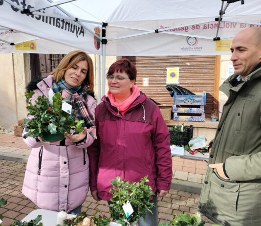 Feria Acebo Prádena Puente de diciembre