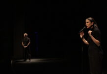 ‘Casting Lear’, la obra premiada presentada en Segovia 'Casting Lear' en el Teatro Juan Bravo