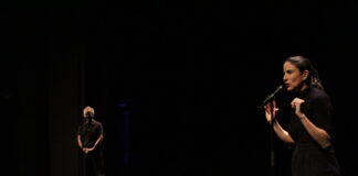 ‘Casting Lear’, la obra premiada presentada en Segovia 'Casting Lear' en el Teatro Juan Bravo