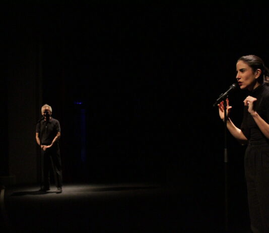 ‘Casting Lear’, la obra premiada presentada en Segovia 'Casting Lear' en el Teatro Juan Bravo