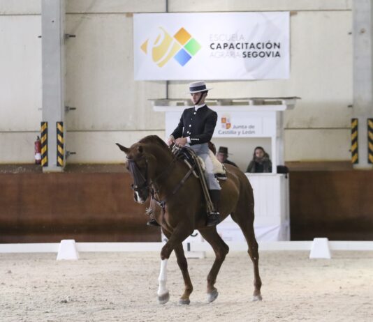 Las competiciones de hípica celebradas en Segovia dejan estos resultados Competiciones Hípica