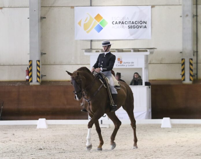 Cesar García Román con Dubai de Harrero oro en 5 Años Doma Vaquera Competiciones Hípica
