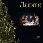 NP Asociación Cultural Castillo de Turégano