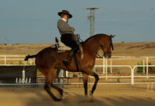 Segovia, centro de la competición hípica este fin de semana Competición hípica