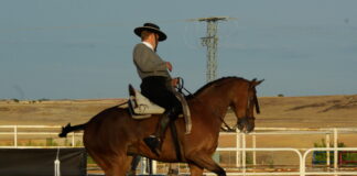 Segovia, centro de la competición hípica este fin de semana Competición hípica