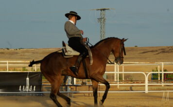 Segovia, centro de la competición hípica este fin de semana Competición hípica