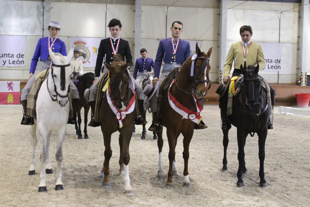 Competiciones hípica