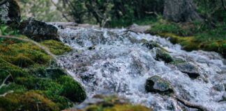 Este pueblo de Segovia esconde una ruta por un manantial de ensueño