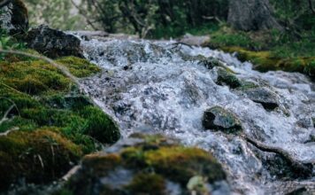 Este pueblo de Segovia esconde una ruta por un manantial de ensueño
