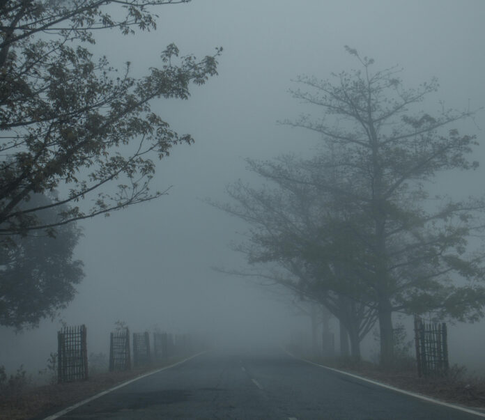 Niebla en carretera Img Pexels