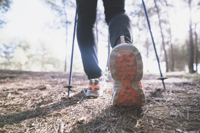 Nordic Walking Caminar por el bosque img freepik