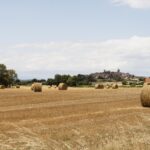 Un pueblo de Segovia ultima las obras que transformarán 2.400 hectáreas