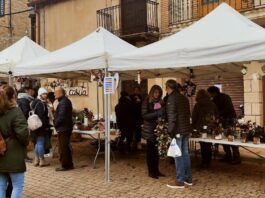 Prádena convierte el acebo en antesala de la Navidad con su feria más participativa