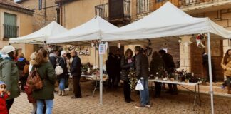 Prádena convierte el acebo en antesala de la Navidad con su feria más participativa