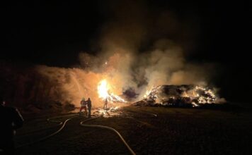 Los bomberos de la Diputación comienzan el año con una intensa actividad Actuación bomberos Segovia