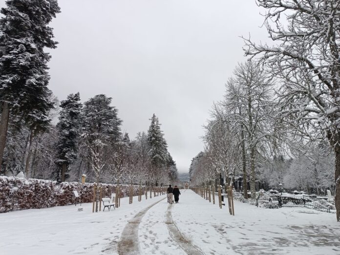 260124 nieve en la Granja de San Ildefonso 3_IMG Segoviaudaz.es