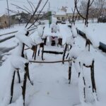 260117 Nieve el Pinilla Ambroz