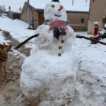 260117 Nieve el Pinilla Ambroz