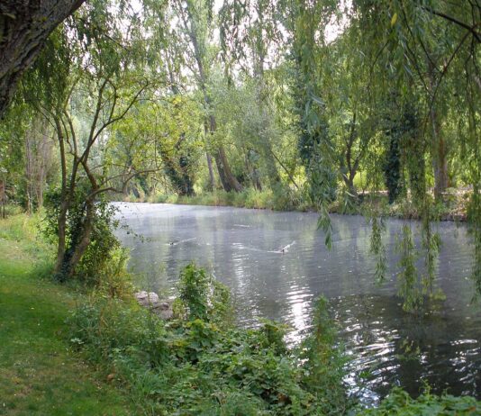 Segovia se asegura durante 25 años agua para sus alamedas