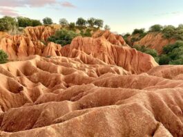 Cavas Fresno de Cantespino