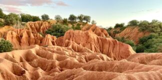 Cavas Fresno de Cantespino