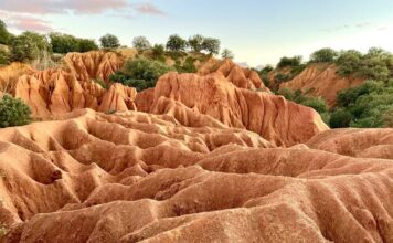 Cavas Fresno de Cantespino