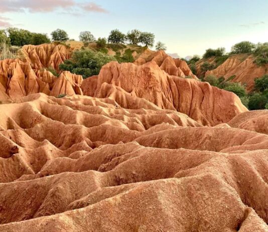 Cavas Fresno de Cantespino