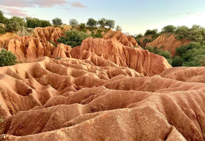 Cavas Fresno de Cantespino