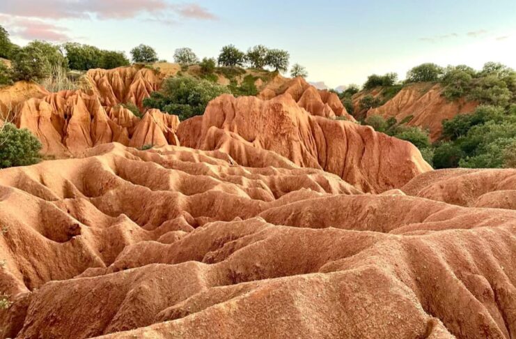 Cavas Fresno de Cantespino