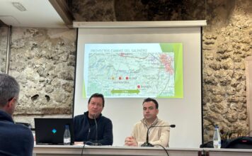 Plantas de biogás Cuéllar