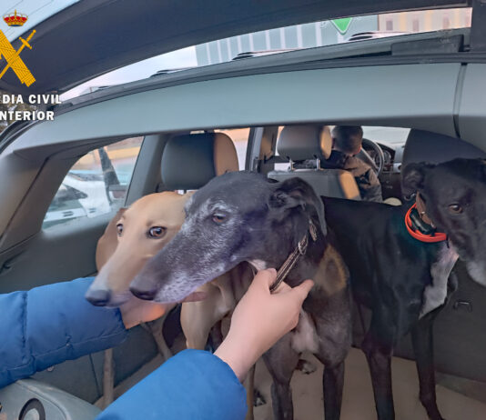 Localizado un grupo de cazadores furtivos que actuaba en municipios de la provincia