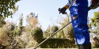 Formación y empleo retribuidos en jardinería en este pueblo de Segovia