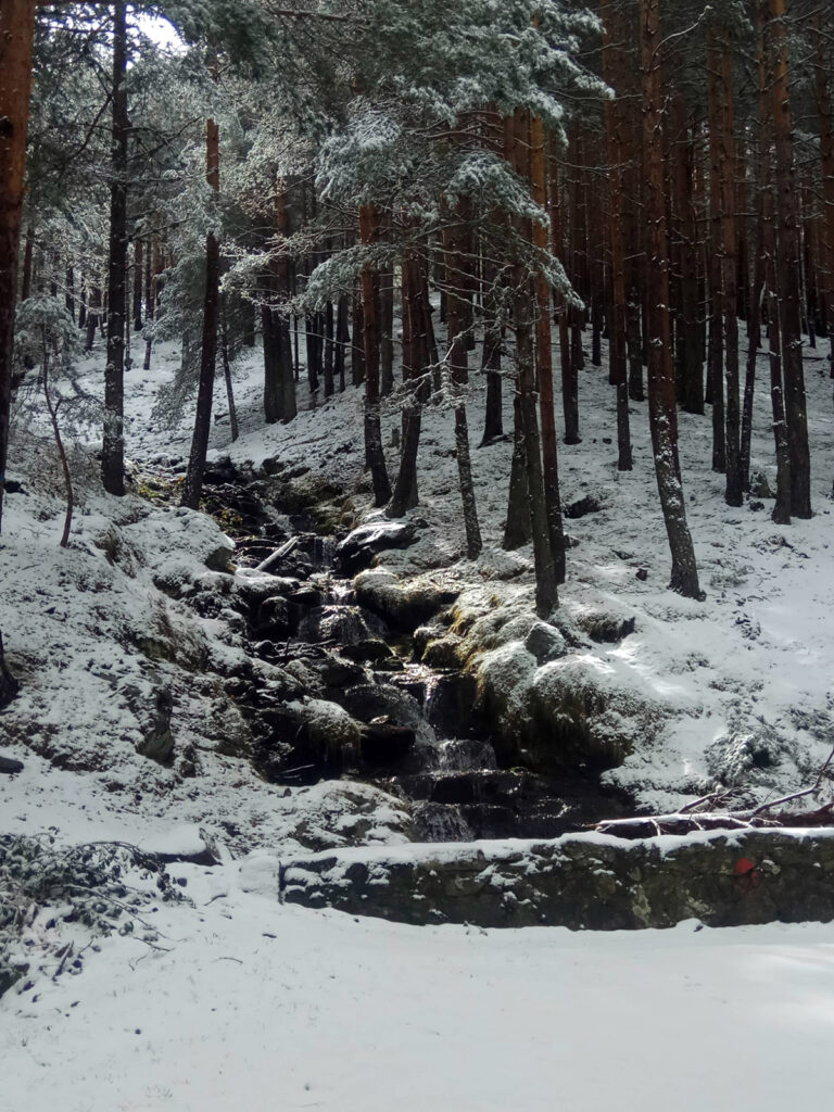Rutas por la naturaleza de Fundación Caja Rural de Segovia