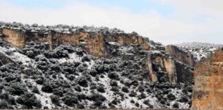 51 Refugio Rapaces Montejo