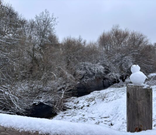 Aviso amarillo por temperaturas de hasta seis grados bajo cero en Segovia