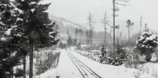 Suspendido el servicio de tren entre Cercedilla y Segovia por la nieve