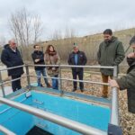 Depuradora Maderuelo