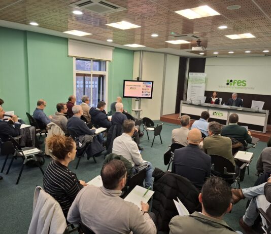 Actualidad, preocupaciones y propuestas en la reunión de las comisiones de trabajo de la FES Reunión de las comisiones de trabajo de la FES (2026)