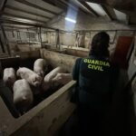 Animales rescatados en Aldea Real