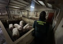 Animales rescatados en Aldea Real