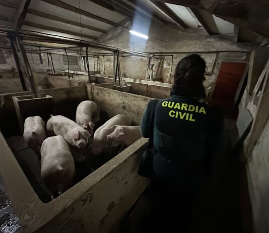 Animales rescatados en Aldea Real